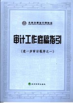 审计工作底稿指引  进一步审计程序之一
