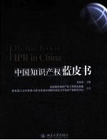 中国知识产权蓝皮书  2009-2010