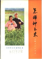 <em>怎样</em>种玉米