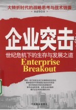 企业突击  世纪危机下的生存与发展之道