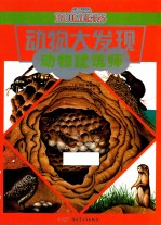 动物大发现系列  动物建筑师