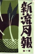 新流月报  第1期