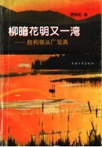 柳暗花明又一湾  胜利弯头厂写真