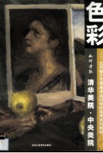如何考取清华美院、中央美院  色彩
