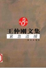 <em>王仲</em>刚文集 紧急追捕