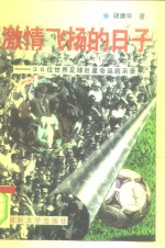 激情飞扬的日子  36位世界足球巨星命运启示录