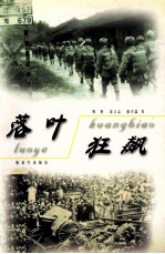 <em>落叶</em>狂飙  长篇纪实小说