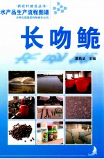 水产品生产流程图谱  长吻鮠