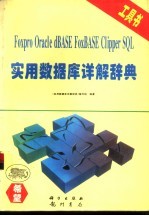实用<em><em>数据</em>库</em>详解辞典