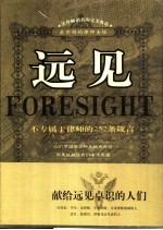 远见  不专属于律师的252条箴言  最实用的律师圣经