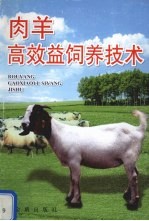 肉羊高效益饲养<em>技术</em>