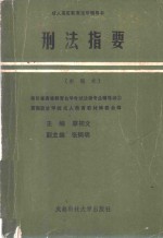 刑法指要  新编本
