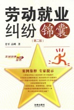 劳动就业纠纷锦囊  第2版