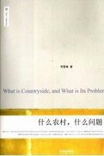 什么农村，什么问题