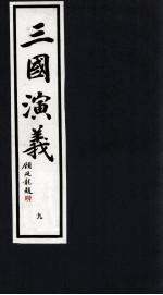 三国演义  9