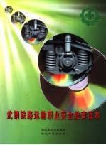 武<em>钢铁</em>路运输职业安全教育读本