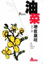 油菜增效栽培
