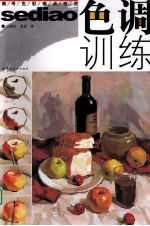 高考<em>色彩</em>难点攻关  色调训练