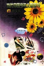 当代中国少年儿童报刊百卷文库  70  小学语文报卷