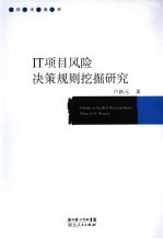 <em>IT</em>项目风险决策规则挖掘研究