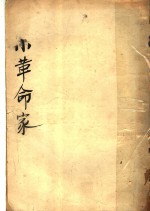 小革命家