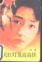大红<em>灯笼</em>高高挂