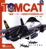 “雄猫”  F-14舰载多用途重型战斗机
