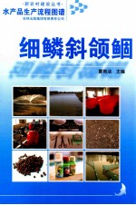 水产品生产流程图谱  细鳞斜颌鲴
