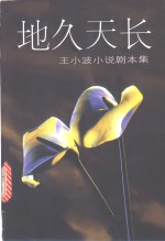 地久天长  王<em>小波</em>小说剧本集