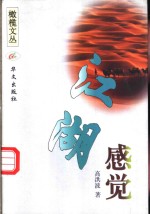 江湖感觉