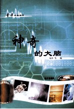 青年必备知识  神奇的大脑