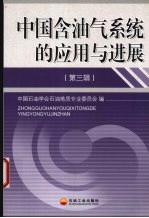 中国含油气系统的应用与进展  第3辑