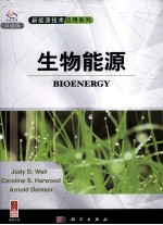 <em>生物</em><em>能源</em>  英文