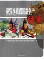 河<em>南省</em>普通高校招生美术统考答卷解析  色彩