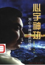 心宇神功  刘心宇神通武功纪实