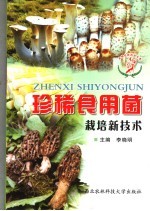 珍稀<em><em>食用</em>菌</em><em>栽培</em>新<em>技术</em>