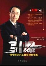 引爆  精确制导的品牌核爆炸模型