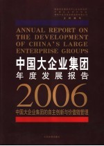 中国大企业集团年度发展报告  2006  自主创新与价值链管理