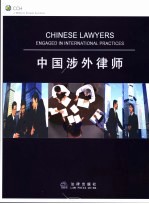 中国涉外<em>律师</em>