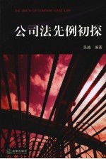 公<em>司法</em>先例初探