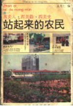 站起来的农民  续一