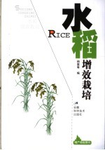 水稻增效栽培