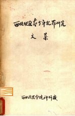 <em>西北</em>地区青少年犯罪研究文集