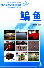 水产品生产流程图谱  鳊鱼