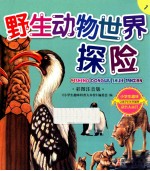 野生动物世界探险  彩图注音版