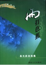 雨打芭蕉  易<em>允武</em>自选集