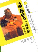 从零基础到一流美院完全教程  5  色彩静物