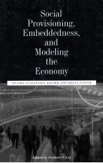 studies in <em>economic</em> reform and social justicesocial provisioning