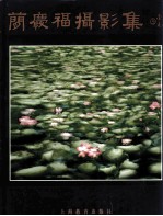 简庆福<em>摄</em>影集
