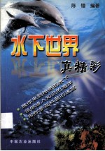 <em>水下</em>世界真精彩